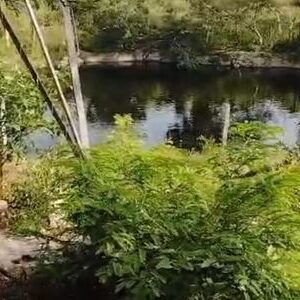 Venta de terreno en Buctzotz , Yucatán