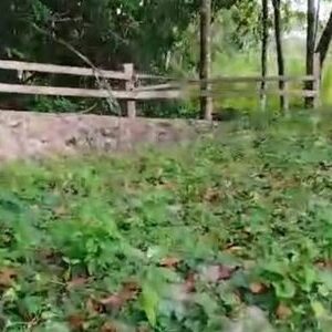 Venta de terreno en Buctzozt Yucatan